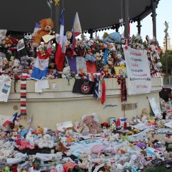 Es impresionante ver esto!