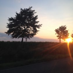 carretra ya llegando a Berlin 