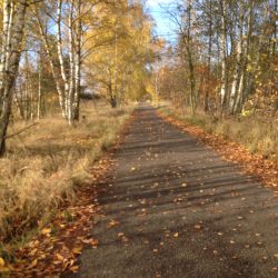 Das Mauerweg - El camino por donde estaba el muro!