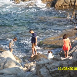 Grandes aventureros.