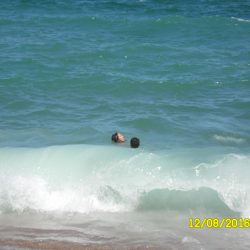 Planolas, Olas geniales 