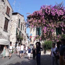 Calles bellas con buganbilias.